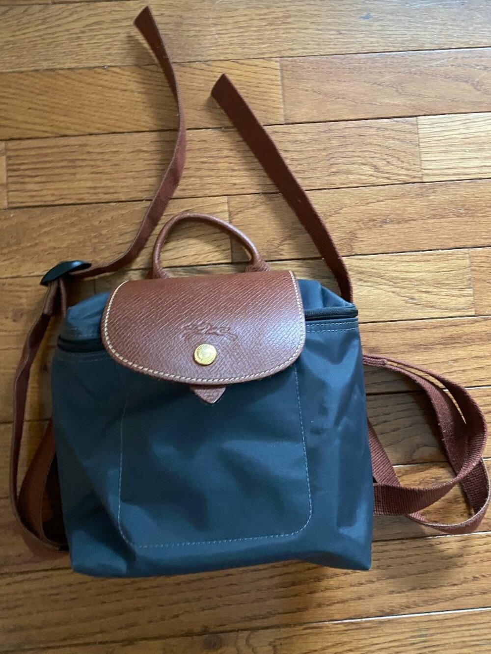 Longchamp Le Pliage Mini Backpack